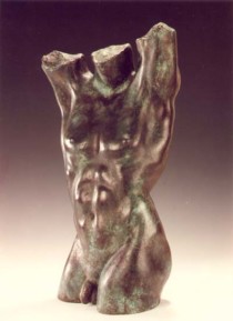 Male Torso