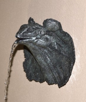 Bronze Frill Neck lizard Bronze Frill Neck lizard