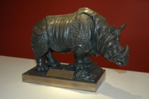 Indian Rhino