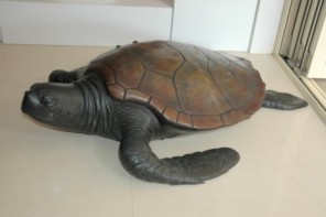Large Turtle