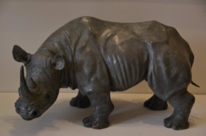 Large Rhino