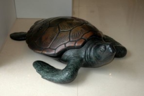 Small Turtle