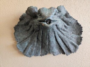 Frill Neck Lizard Head